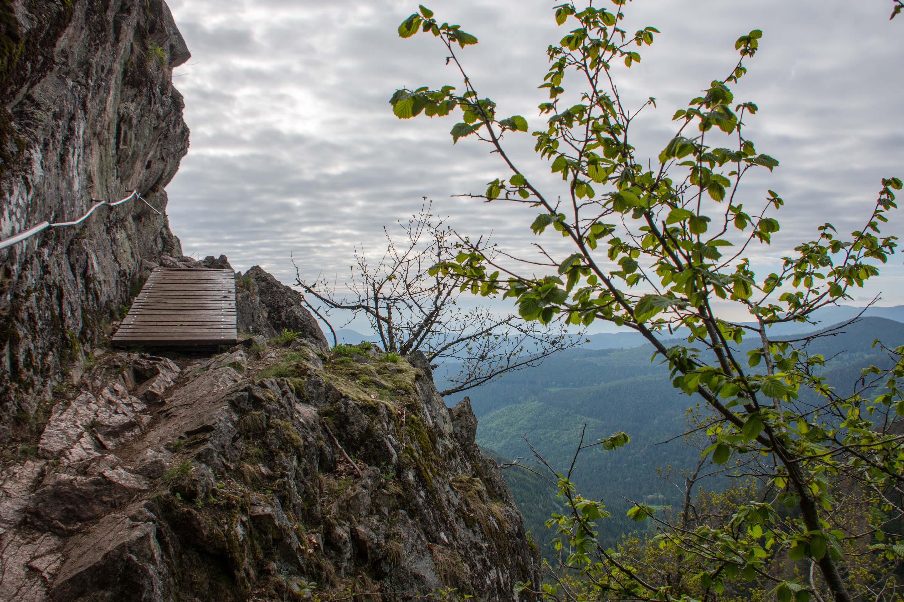 le sentier des roches 